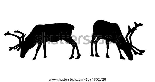 Vector Set Grazing Reindeer Silhouettes Horns Stock Vector Royalty