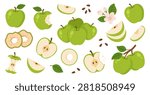 Vector set of green apple elements in a cute flat style. Features whole fruits, halves, slices, dried rings, apple core, seeds, leaves, and apple blossoms. Perfect for healthy food concepts, recipes, and organic branding