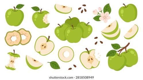 Vector set of green apple elements in a cute flat style. Features whole fruits, halves, slices, dried rings, apple core, seeds, leaves, and apple blossoms. Perfect for healthy food concepts, recipes, and organic branding