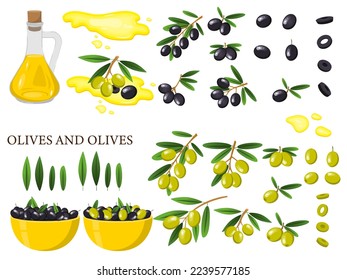 Vector set with green and black olives. Twigs with olives with leaves, individual berries. The concept of vegetables and healthy eating.м