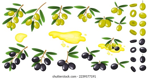 Vector set with green and black olives. Twigs with olives with leaves, individual berries. The concept of vegetables and healthy eating.м