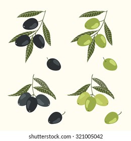 vector set of green and black olives