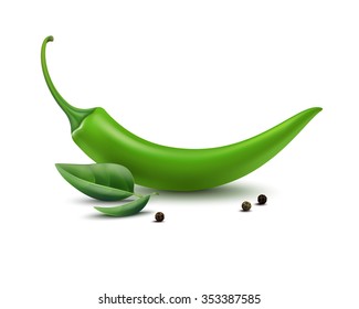 Vector Set of Green and Black Peppercorn Hot Chili Pepper with Peppermint Leaves Isolated on White Background