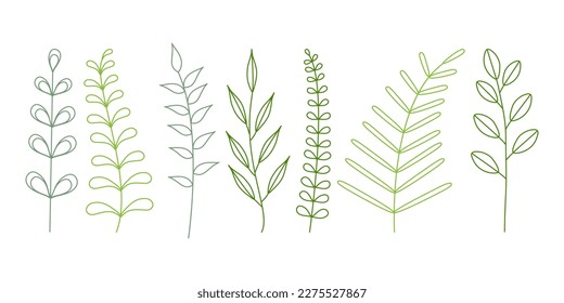 Vector set of green branches