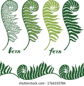 Vector set : green branches of fern in different style . Linear, silhouette ,hand drawn sketch. And seamless line botanical ornament , and hand written lettering. Elements for design .