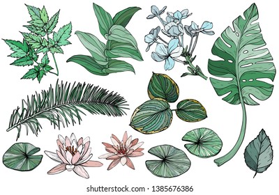 Vector Set green branches, flowers and leaves, hand drawn design plant elements