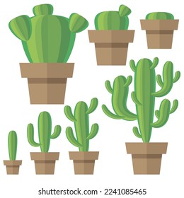 Vector set of green cactus and leaves. Collection of exotic plants. Decorative natural elements are isolated on white. Cactus growth.