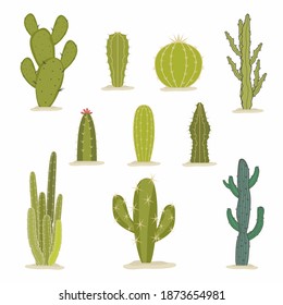 Vector set of green cactus. Tropical home plants or arizona summer climate garden cactuses and succulent. Collection of exotic plants. Decorative natural elements are isolated on white