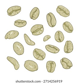 Conjunto de Vector de grano de café verde Diversa ilustración de dibujos animados