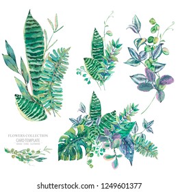 Vector set of green exotic leaves. Natural tropical greeting card, greenery botanical collection