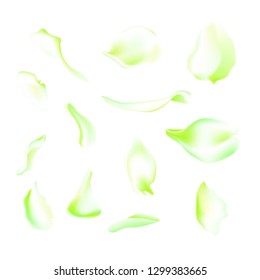 Vector set of green falling rose and sakura petals. Blurred spring blossom petal set with decorative elements, stamen. Sakura petal set, blossom rose petals objects, petal element set with blured