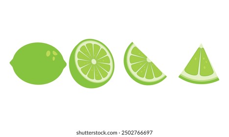 Vector set of green fresh lime icon. Lime fruits on white isolated background. Lime slices collection