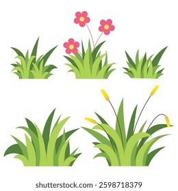 Vector set of green grass isolated on white background