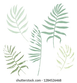 Vector set of green and khaki tropical leaves of palm trees on a white background. Vector grunge leaves. Tropical illustration. Jungle foliage. Cool floral wallpaper