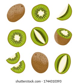 Vector set of green Kiwi. Tropical exotic chopped and whole Kiwifruit. 
Isolated Chinese gooseberry and Actinidia deliciosa