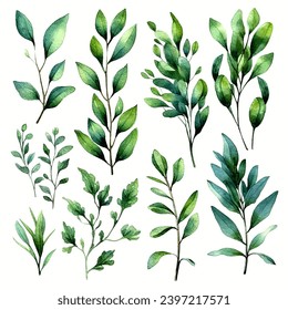 vector set of green leaf