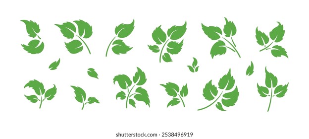 Vector Set of Green Leaf Silhouette. Leaves of Plant and Trees Logo icons. Ecology, Environment, Nature Symbols.