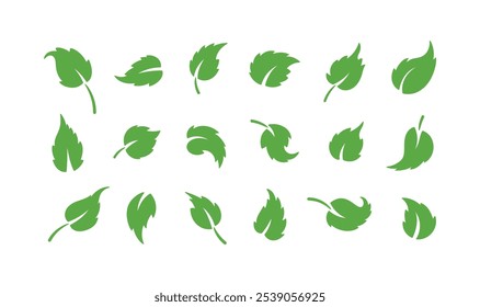 Vector Set of Green Leaf Silhouette. Leaves of Plant and Trees Logo icons. Ecology, Environment, Nature Symbols.