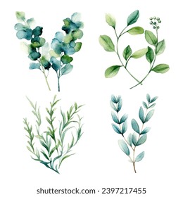vector set of green leaf watercolor