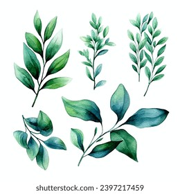 vector set of green leaf watercolor