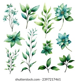 vector set of green leaf watercolor