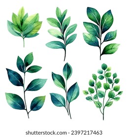 vector set of green leaf watercolor