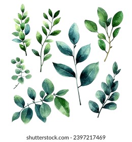 vector set of green leaf watercolor