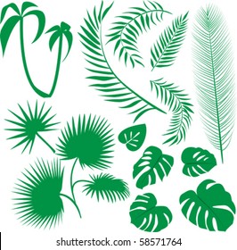 vector set green leaves