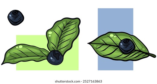 Vector set of green leaves and blueberries, collection of botanical elements, great for fabric wallpaper, packaging, fresh decor ideas