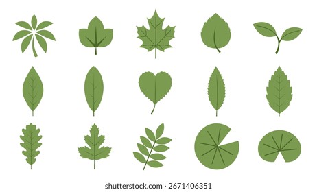 Vector set of green leaves from different plants and trees. Perfect for nature, eco, organic, and environmental design projects.