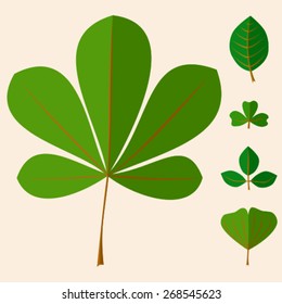 Vector set of green leaves from different trees. Includes leaves of chestnut, clover, gingo. 