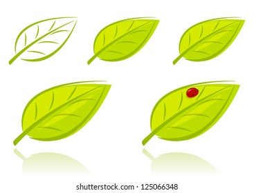 Vector set of green leaves, eco concept