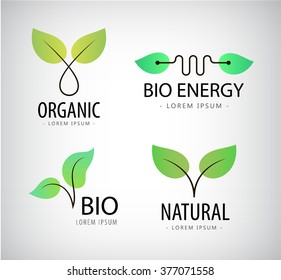 Vector set of green leaves, eco logos, bio logos, natural, organic logos