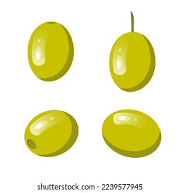 Vector set with green olives. Twigs with olives with leaves, individual berries. The concept of vegetables and healthy eating.