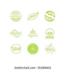 Vector set of green and organic products labels and badges - collection of different icons and illustrations related to fresh and healthy food - part 2