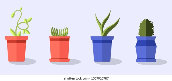 Vector set green plant in pot, illustration of flowerpot bloom