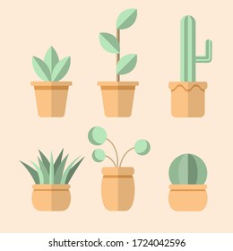  Vector puso planta verde en la olla. jardín interior y exterior en casa. plantas aisladas.Ilustración vectorial