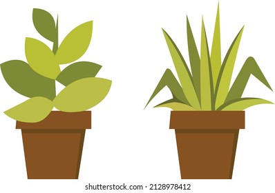 Vector set green plant in pot. Indoor and outdoor landscape garden potted plants isolated on white.