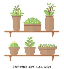 Vector set green potted plants Indoor and outdoor