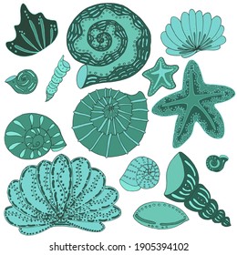 vector set of green seashells on white background