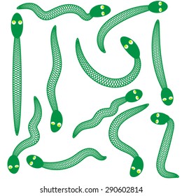 Vector Set of Green Snakes Isolated on White Background