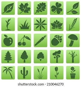 Vector Set of Green Square Plants Icons