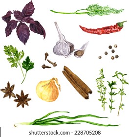 vector set of green stuff, spices and vegetables drawing by watercolor at white background, hand drawn food illustration