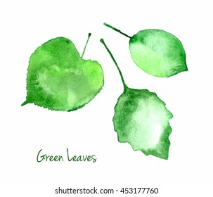 Vector set of green summer watercolor leaves isolated on white background for you eco design. Abstract watercolour paper grain textured leaves.