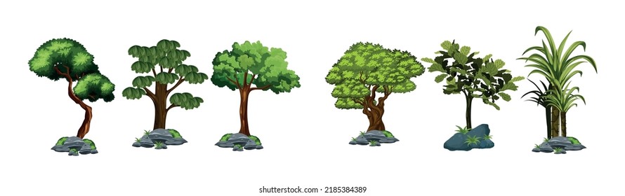 Vector set of green trees. Collection Realistic Trees Isolated on White Background.