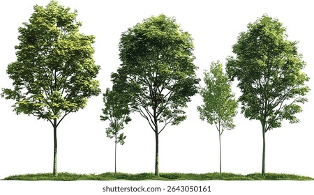 Vector set green trees, tree design, nature artwork, forest illustration, environmental art, landscape design, green nature, tree icons, forest elements, eco friendly vector