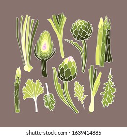 Vector set with green vegetables. Cartoon, flat, realistic style. Onions, cabbage, salad. Vegan set. Organic food. For flat design, web pages elements, books and menu. All elements are isolated.