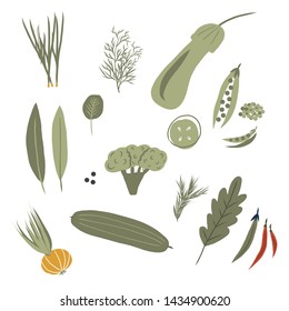 Vector set of green vegetables, herbs, spices and herbs in a flat style on a white background.