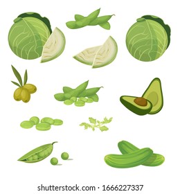 
Vector set of green vegetables. Vegetarian food.