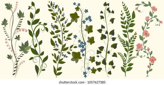 Vector set of greenery. Many figured branches with different leaves and flowers.